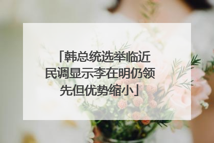 韩总统选举临近 民调显示李在明仍领先但优势缩小
