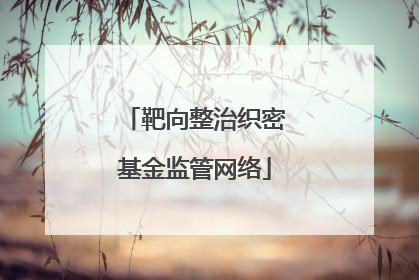 靶向整治织密基金监管网络