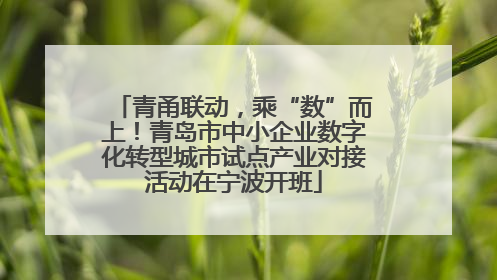 青甬联动，乘“数”而上！青岛市中小企业数字化转型城市试点产业对接活动在宁波开班