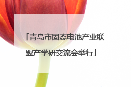 青岛市固态电池产业联盟产学研交流会举行