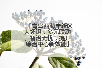 青岛西海岸新区大场镇：多元联动、智治无忧，提升综治中心新效能