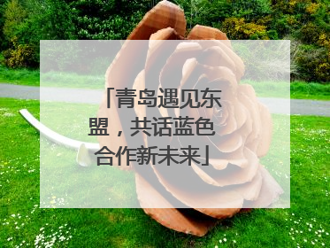 青岛遇见东盟，共话蓝色合作新未来