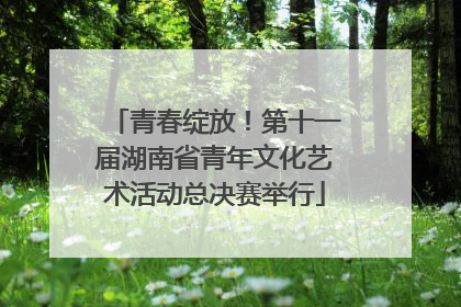 青春绽放！第十一届湖南省青年文化艺术活动总决赛举行