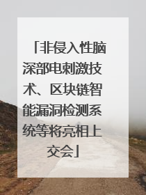 非侵入性脑深部电刺激技术、区块链智能漏洞检测系统等将亮相上交会