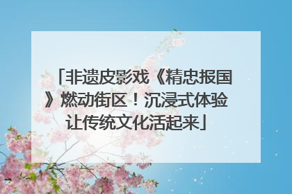非遗皮影戏《精忠报国》燃动街区！沉浸式体验让传统文化活起来