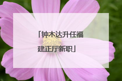 钟木达升任福建正厅新职