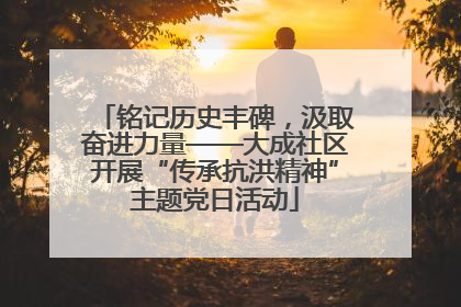 铭记历史丰碑，汲取奋进力量——大成社区开展“传承抗洪精神”主题党日活动