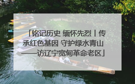 铭记历史 缅怀先烈丨传承红色基因 守护绿水青山——访辽宁宽甸革命老区