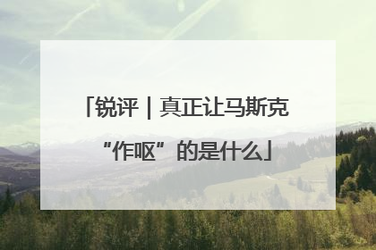 锐评｜真正让马斯克“作呕”的是什么