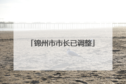 锦州市市长已调整