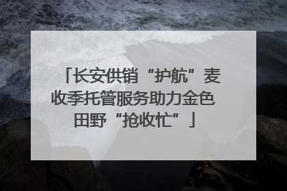 长安供销“护航”麦收季托管服务助力金色田野“抢收忙”