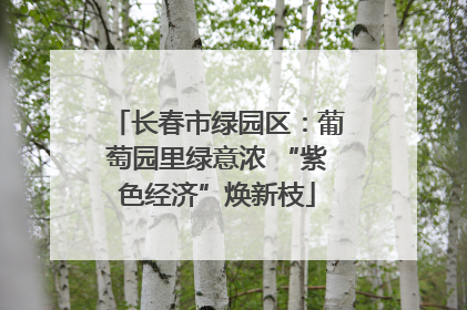 长春市绿园区：葡萄园里绿意浓 “紫色经济”焕新枝