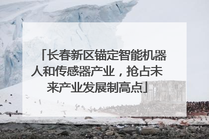 长春新区锚定智能机器人和传感器产业，抢占未来产业发展制高点