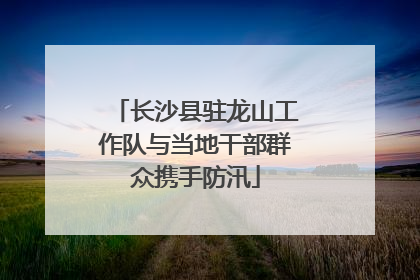 长沙县驻龙山工作队与当地干部群众携手防汛