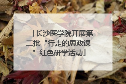 长沙医学院开展第二批“行走的思政课”红色研学活动