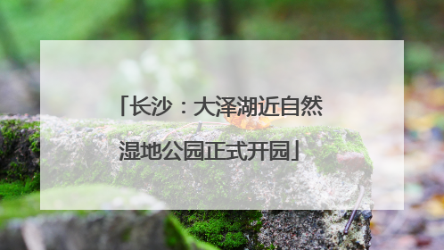 长沙：大泽湖近自然湿地公园正式开园