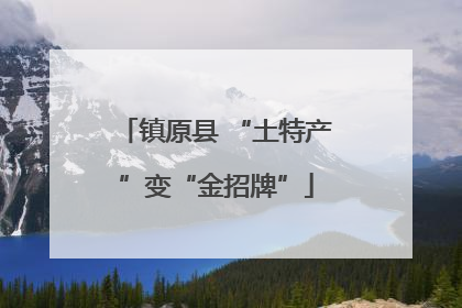镇原县 “土特产”变“金招牌”