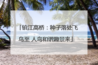 镇江高桥：种子落处飞鸟至 人鸟和谐趣景来
