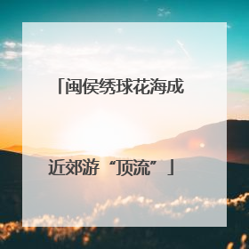 闽侯绣球花海成近郊游“顶流”