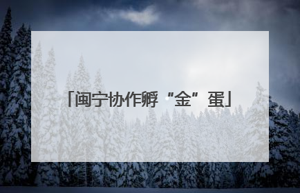 闽宁协作孵“金”蛋