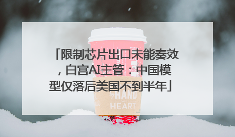 限制芯片出口未能奏效，白宫AI主管：中国模型仅落后美国不到半年