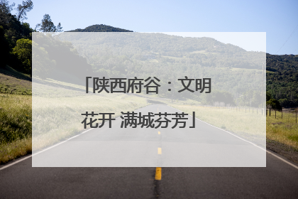 陕西府谷：文明花开 满城芬芳