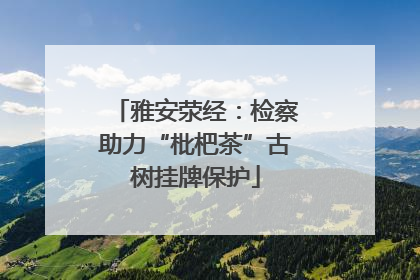 雅安荥经：检察助力“枇杷茶”古树挂牌保护