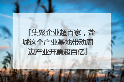 集聚企业超百家，盐城这个产业基地带动周边产业开票超百亿