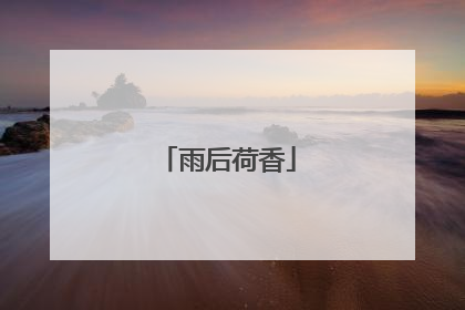 雨后荷香