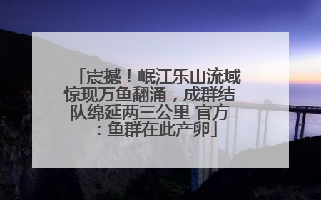震撼！岷江乐山流域惊现万鱼翻涌，成群结队绵延两三公里 官方：鱼群在此产卵