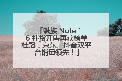 魅族 Note 16 补货开售再获榜单桂冠，京东、抖音双平台销量领先！