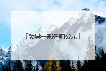 领导干部任前公示