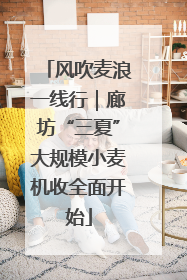 风吹麦浪一线行｜廊坊“三夏”大规模小麦机收全面开始