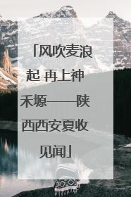 风吹麦浪起 再上神禾塬——陕西西安夏收见闻