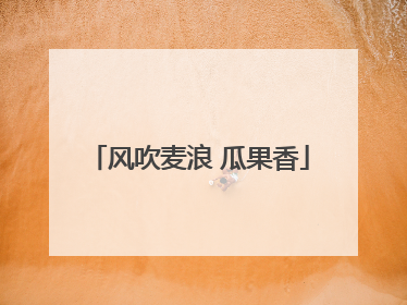 风吹麦浪 瓜果香