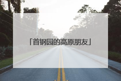 首钢园的高原朋友