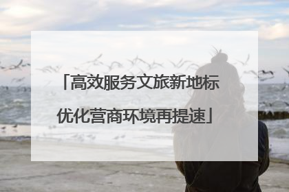 高效服务文旅新地标 优化营商环境再提速
