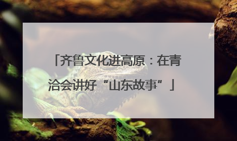 齐鲁文化进高原：在青洽会讲好“山东故事”