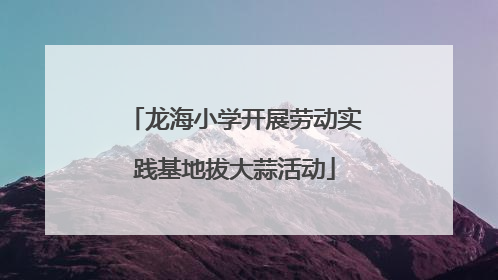 龙海小学开展劳动实践基地拔大蒜活动