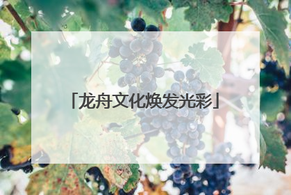 龙舟文化焕发光彩