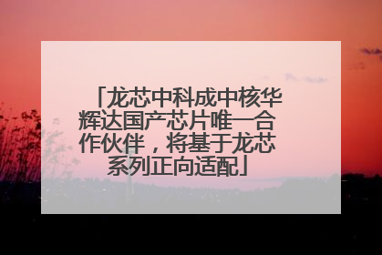 龙芯中科成中核华辉达国产芯片唯一合作伙伴，将基于龙芯系列正向适配