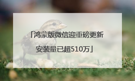 鸿蒙版微信迎重磅更新 安装量已超510万