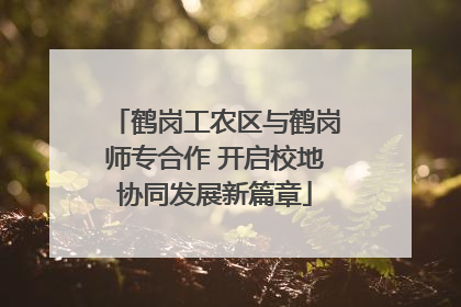 鹤岗工农区与鹤岗师专合作 开启校地协同发展新篇章