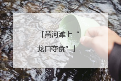 黄河滩上“龙口夺食”