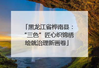 黑龙江省桦南县：“三色”匠心织锦绣 绘就治理新画卷
