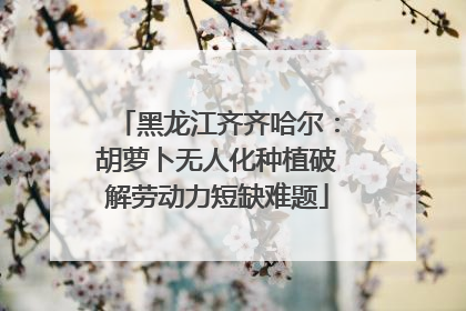 黑龙江齐齐哈尔：胡萝卜无人化种植破解劳动力短缺难题