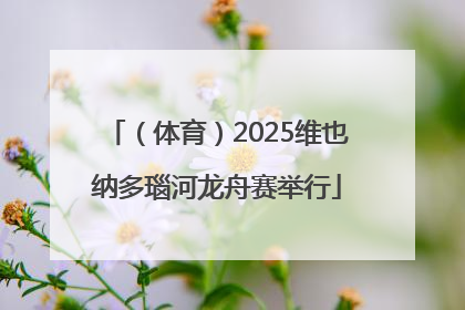 （体育）2025维也纳多瑙河龙舟赛举行