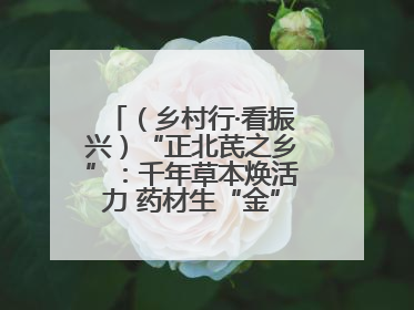 （乡村行·看振兴）“正北芪之乡”：千年草本焕活力 药材生“金”富农家