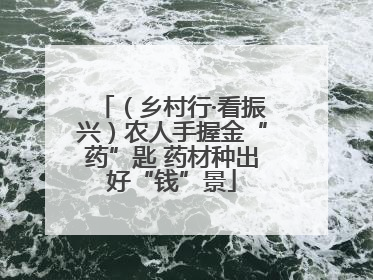 （乡村行·看振兴）农人手握金“药”匙 药材种出好“钱”景