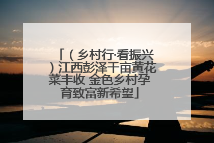 （乡村行·看振兴）江西彭泽千亩黄花菜丰收 金色乡村孕育致富新希望